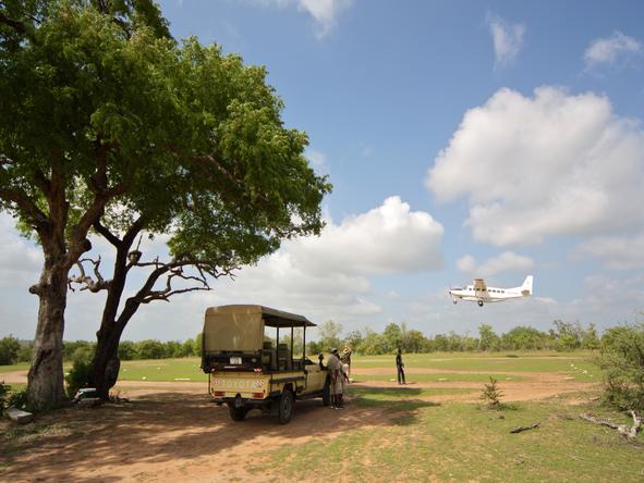 Amara Selous - game drive
